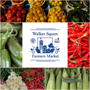 a variety of vegetables