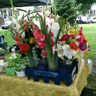 a variety of flowers