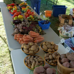 Everything that you would need for a soup, stew or salad, right here!