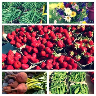 Awesome fresh produce!