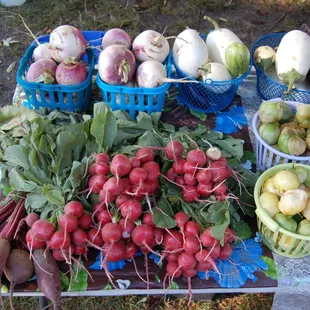 Turnips, beets, radishes, and tomatillos
