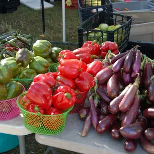 Green and red peppers and Asian eggplant