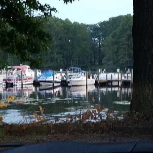 a view of a boat dock