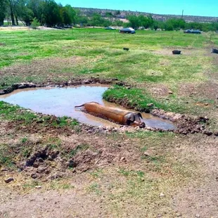 a puddle of water on the ground
