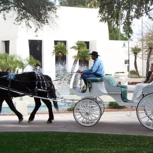 Wedding Carriages