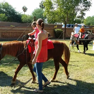 Pony Rides and Parties