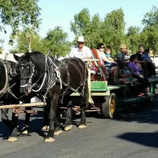 Hay Rides and Wagon Rides