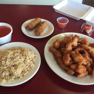 Too much food for this fat boy