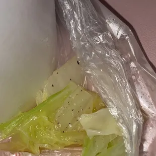 Black mold spots on Napa cabbage
