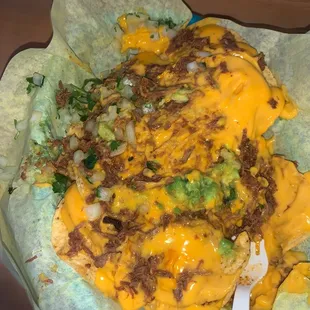 Terrible nachos I ate all the birrria meat