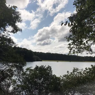 view from the halfway rest bench on tower trail