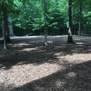 Dog park