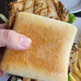 Chicken Caesar sandwich. The chicken breast was butterflied and looked huge.