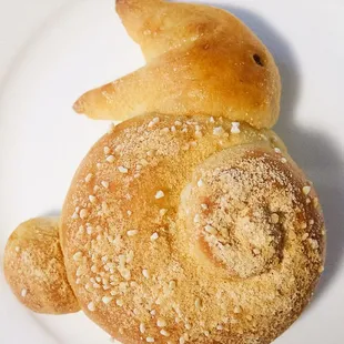 Kinako bunny