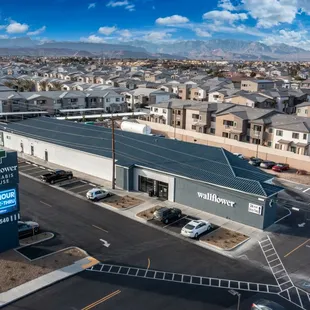 wallflower cannabis house