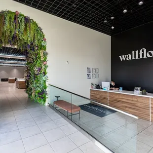 Wallflower Cannabis House Dispensary