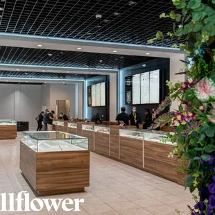 Dispensary Near Me Las Vegas, NV