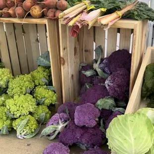 Dear Table Farm has the prettiest produce I&apos;ve ever seen!