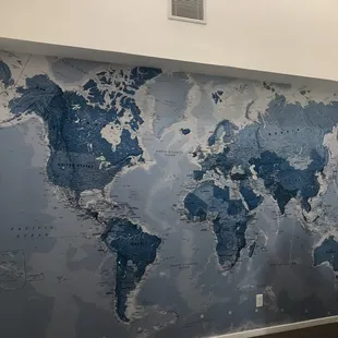 World map mural