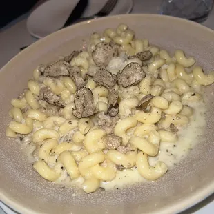 Truffle Pasta