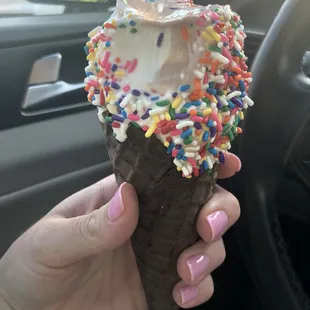 Chocolate waffle cone with twist Icecream and sprinkles $7