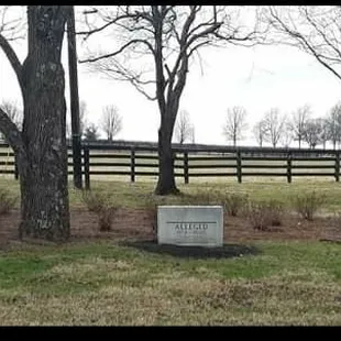 Risen Sar, Alleged, Miswaki