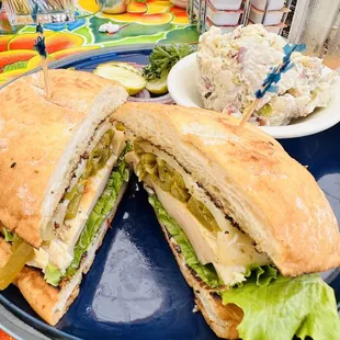 Southwest chicken sandwich with potato salad