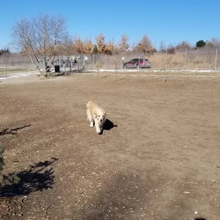 Dog park