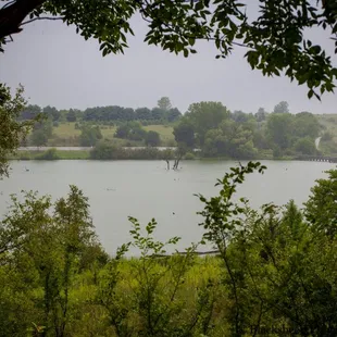 Oh...that's a nice view.