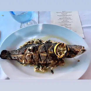 Whole branzino over creamy mushroom risotto