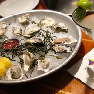 Dozen oysters - mix of Kumamoto and Chelsea with a Zentini