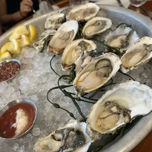Fresh Oysters