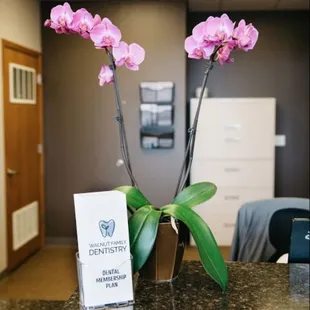 Walnut Family Dentistry