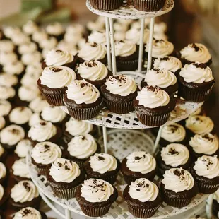 Chocolate cupcakes with vanilla buttercream frosting.