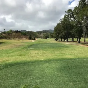Aim for the tree in the fairway and then cut the corner.