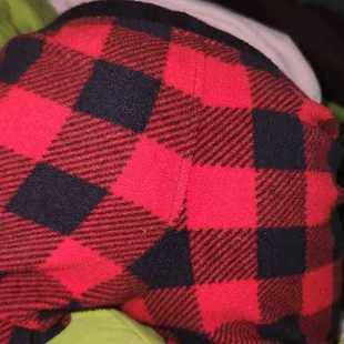 Owners baby's booty very cute also