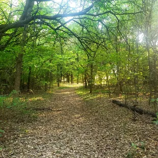 Nature Trail