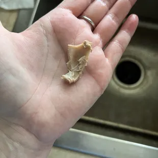 Bone found