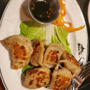 Pan Fried Pork Dumplings