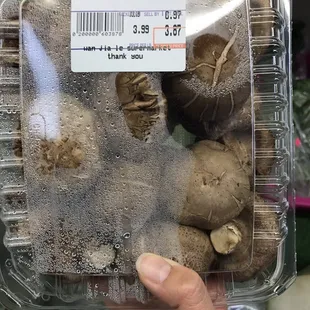 Shiitake is cheaper than Arirang