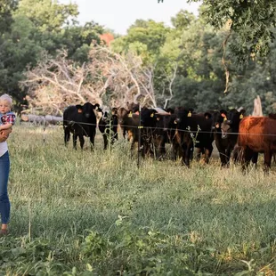a man and woman standing in front of a herd of cows