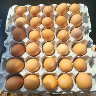Pasture raised eggs