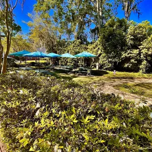 Wandaful Things -- outdoor seating