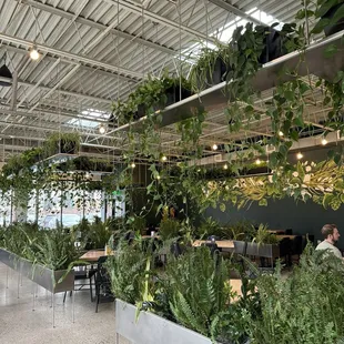 the interior of the restaurant