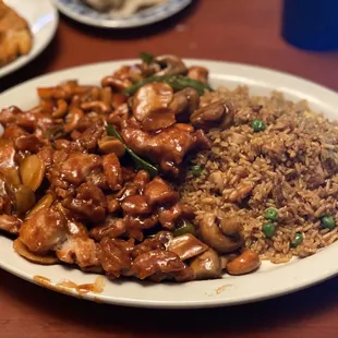 a plate of chinese food