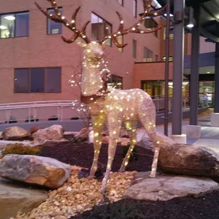 a statue of a deer in front of a building