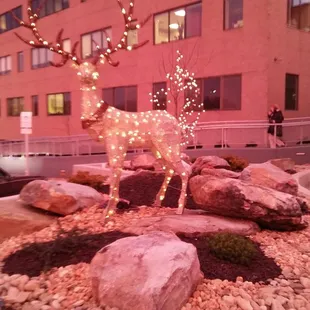 a lighted deer in a rock garden
