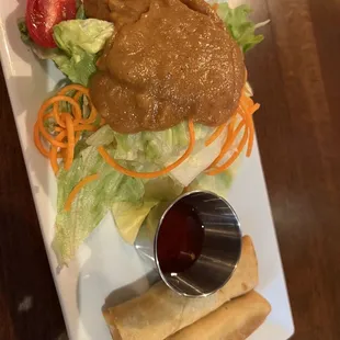 Spring Rolls