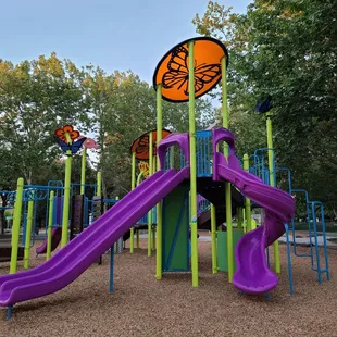 2 of 4 slides, the dual and twisty slide! (I love the vibrant colors!)