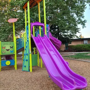Purple dual slide! (Fun for both kids and adults!)